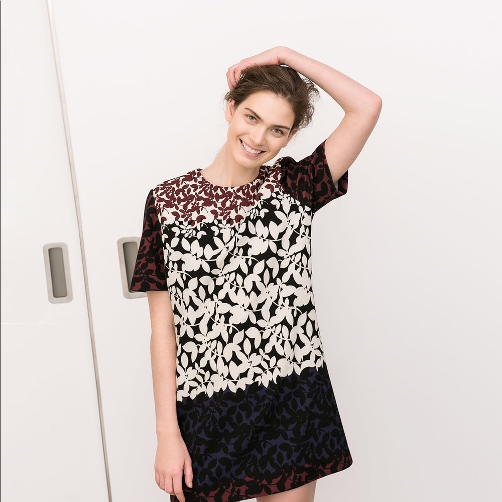 Zara dress